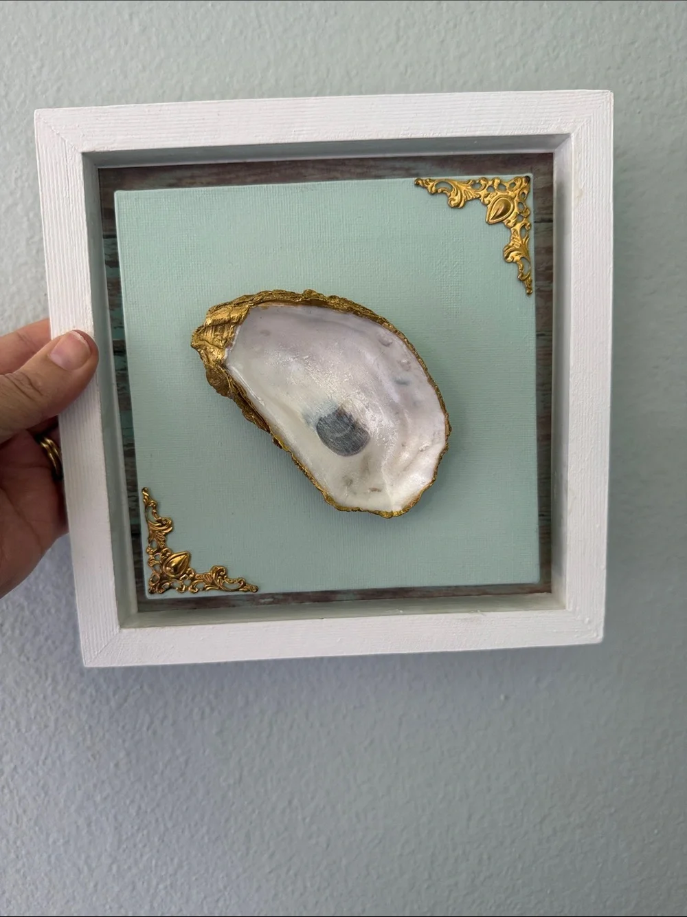 Coastal Shell Framed Wall Art in Mint with Gold Accents